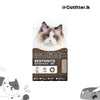 Mini Cat Bentonite Cat Litter 5L Coffee