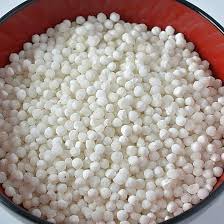 Sabudana 100g ساگو دانہ –