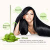 BIOAQUA Olives Anti-Dandruff & Smoothing Shampoo 400g