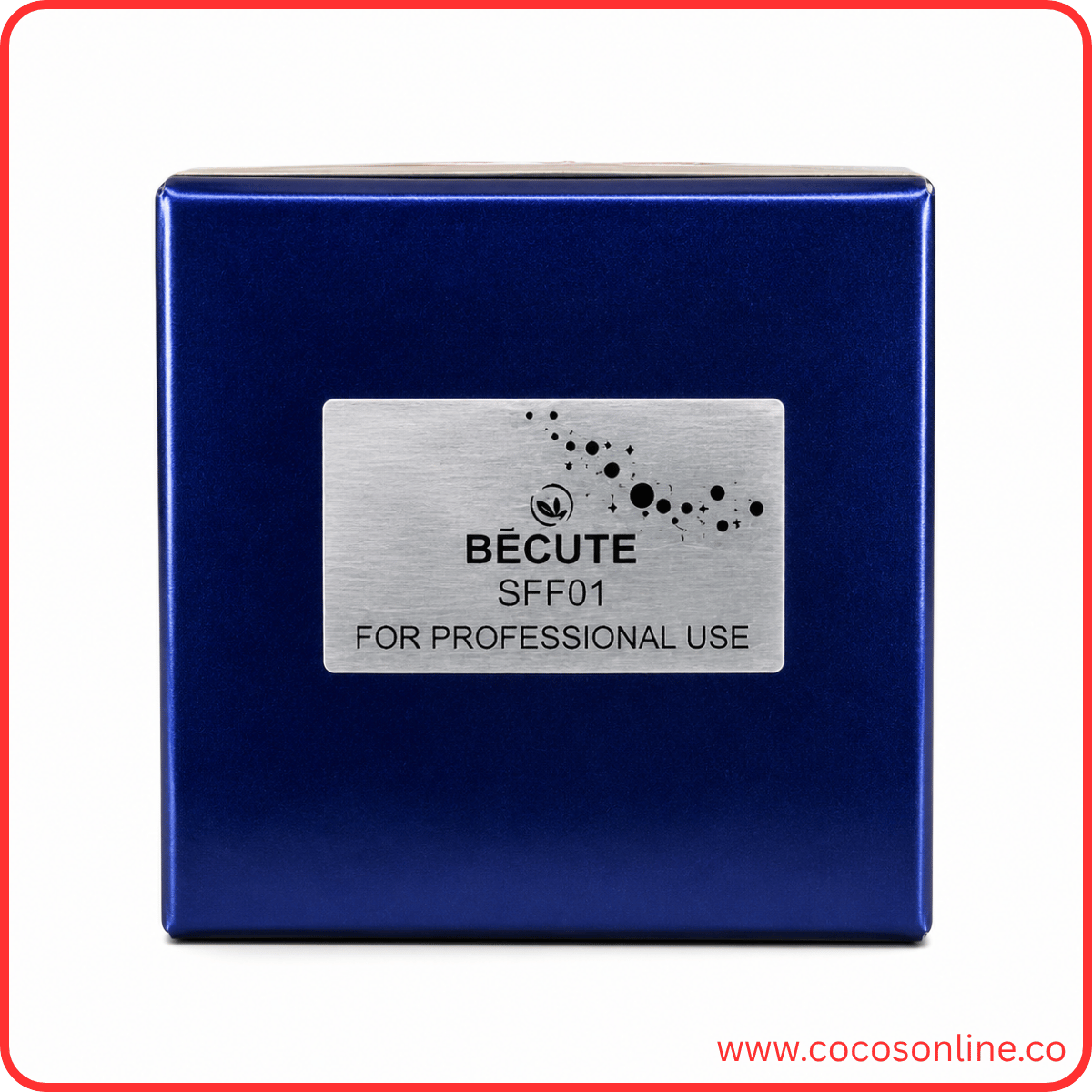 Becute Cosmetics Foundation Lasting Silk #SFF01 ( 50 ML )