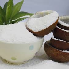 Coconut Powder 100g