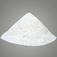 Coconut Powder 100g