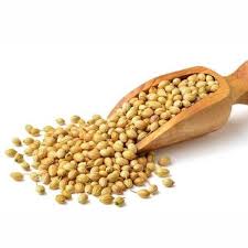 Sabut Desi Dhaniya (Coriander Whole )