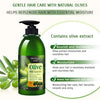BIOAQUA Olives Anti-Dandruff & Smoothing Shampoo 400g